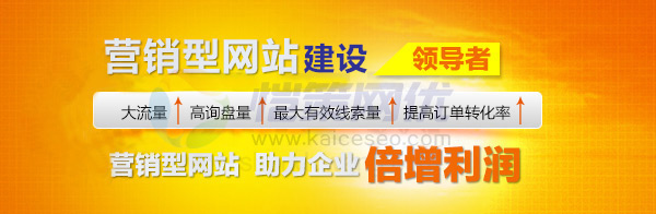 恺策网优营销型建设领导者 恺策网优营销型建设领导者